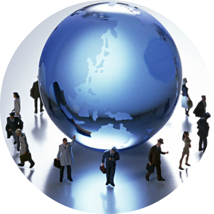 不動産の調査報告